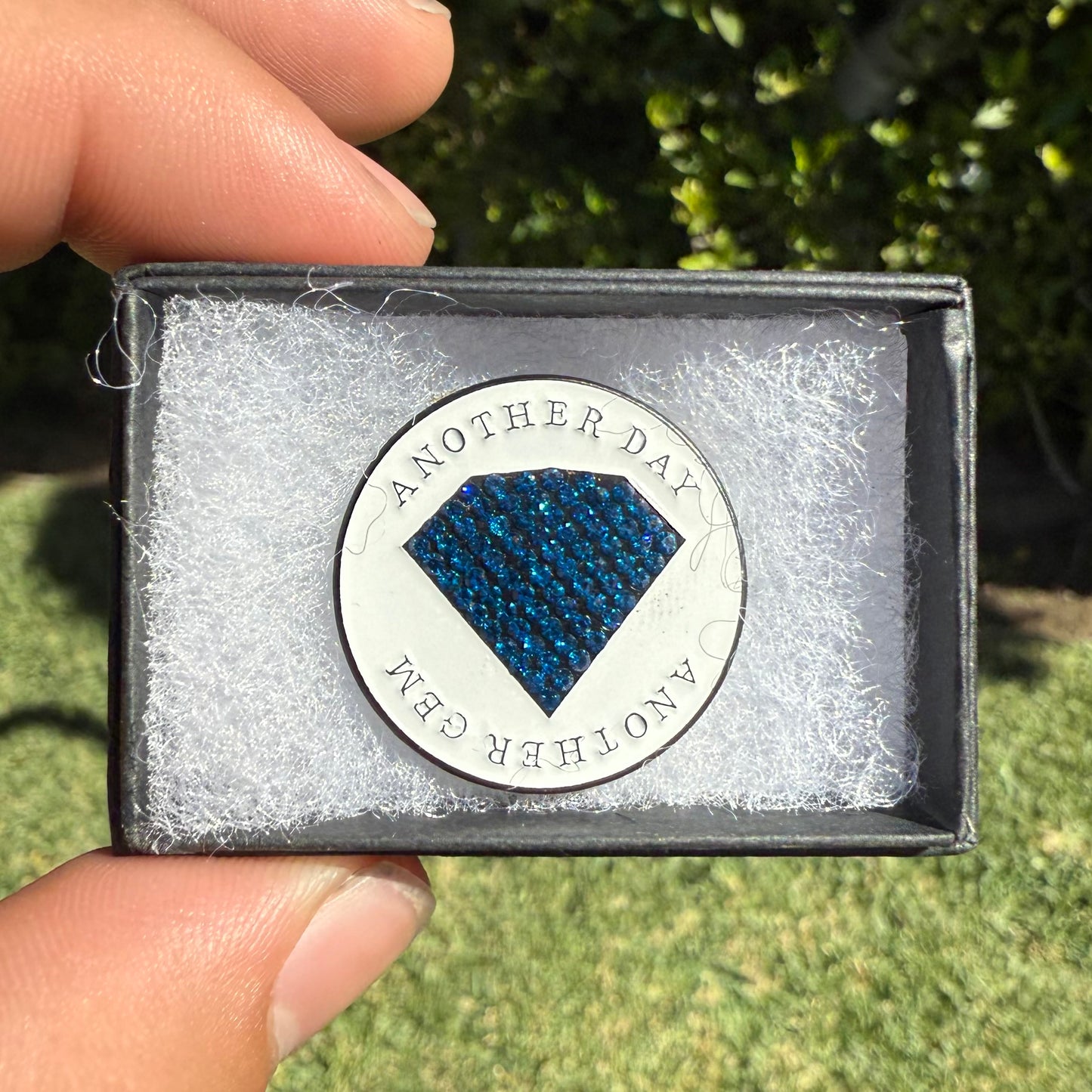 Home Team Gem (pin)