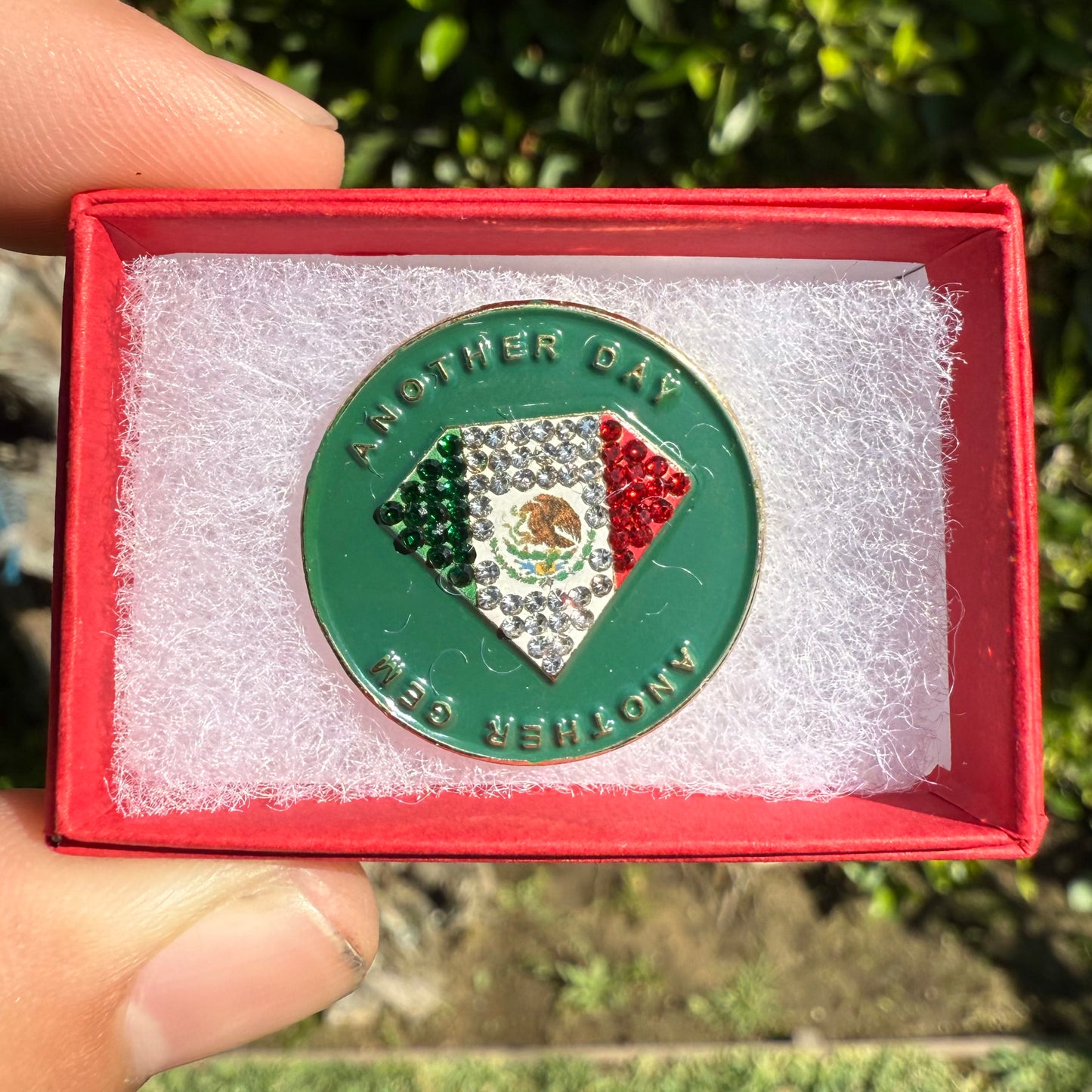 Mexico Gem (pin)